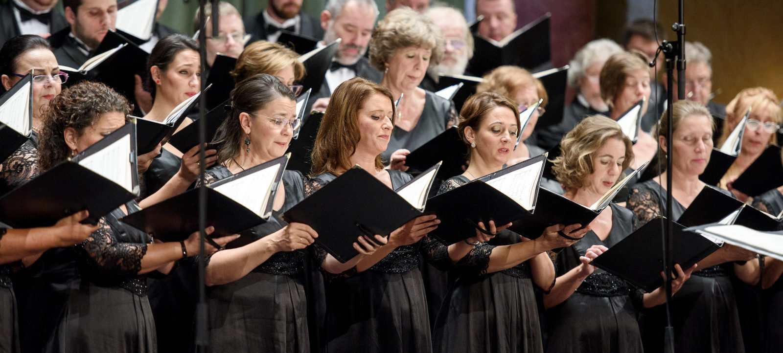 Valery Gergiev and the Mariinsky Orchestra, Featuring: Hungarian National Choir