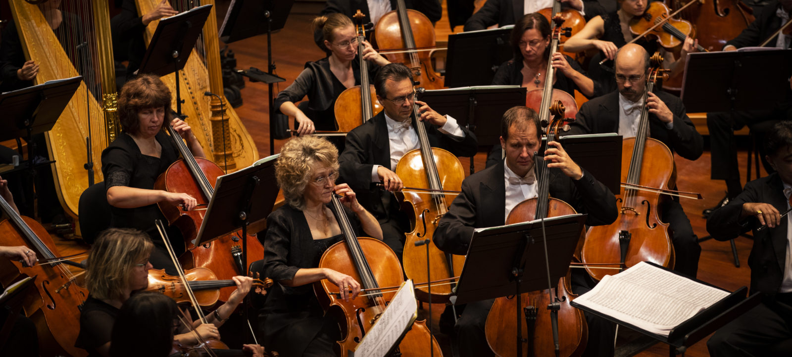 Apa és fia – a Nemzeti Filharmonikus Zenekar koncertje